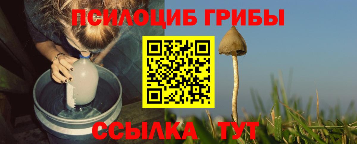 Воркута  Галлюциногенные грибы Magic Shrooms  купить закладку  Галлюциногенные грибы мицелий  Вход с VPN 